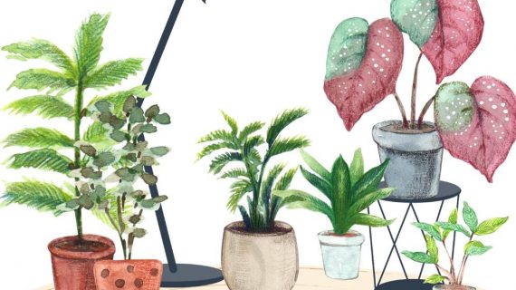 piante-blog